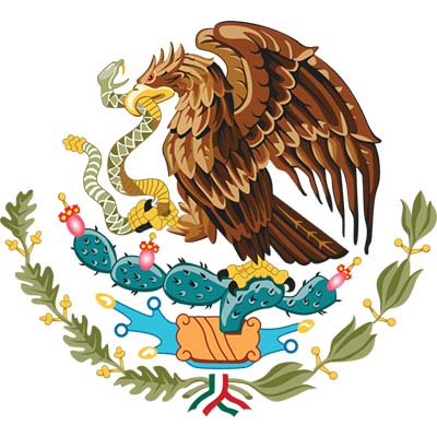 Made In Mexico Eagle Design Fake Temporary Water Transfer Tattoo Stickers NO.10445